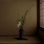 Izuyasu Traditional Kyoto Inn Serving Kyoto Cuisine