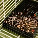 Guesthouse-Hana・Zen House