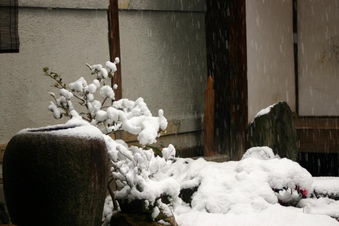 Veada * Kyoto