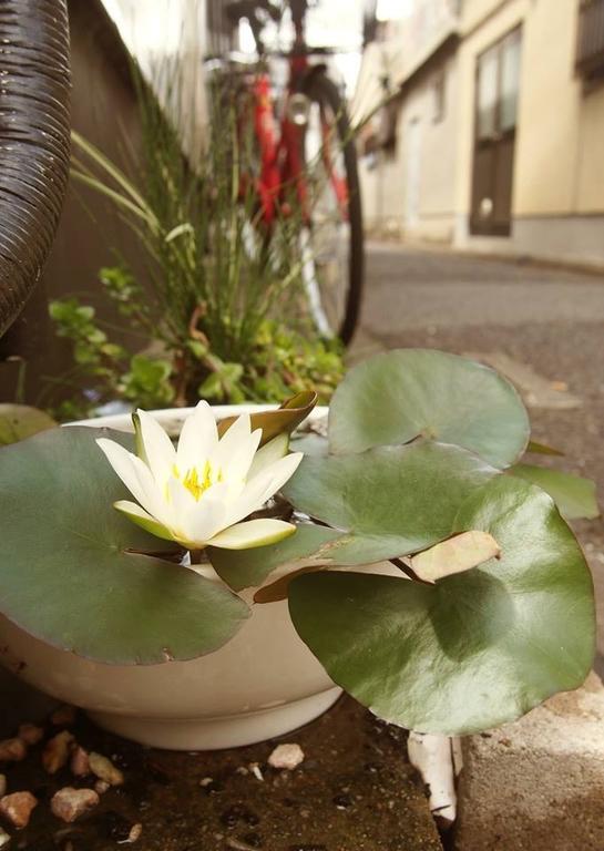 Kyoenkan * Kyoto