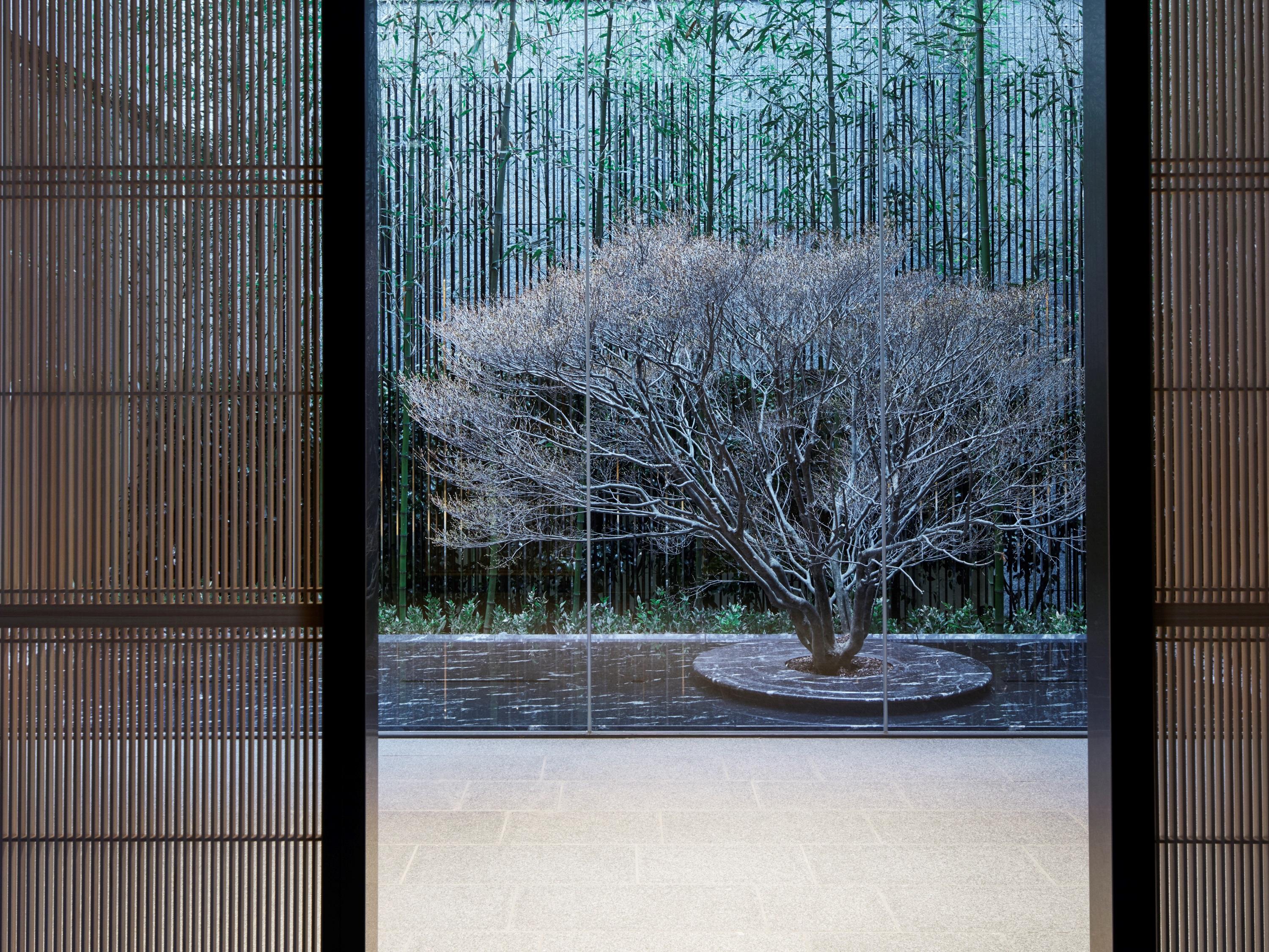 The Thousand Kyoto