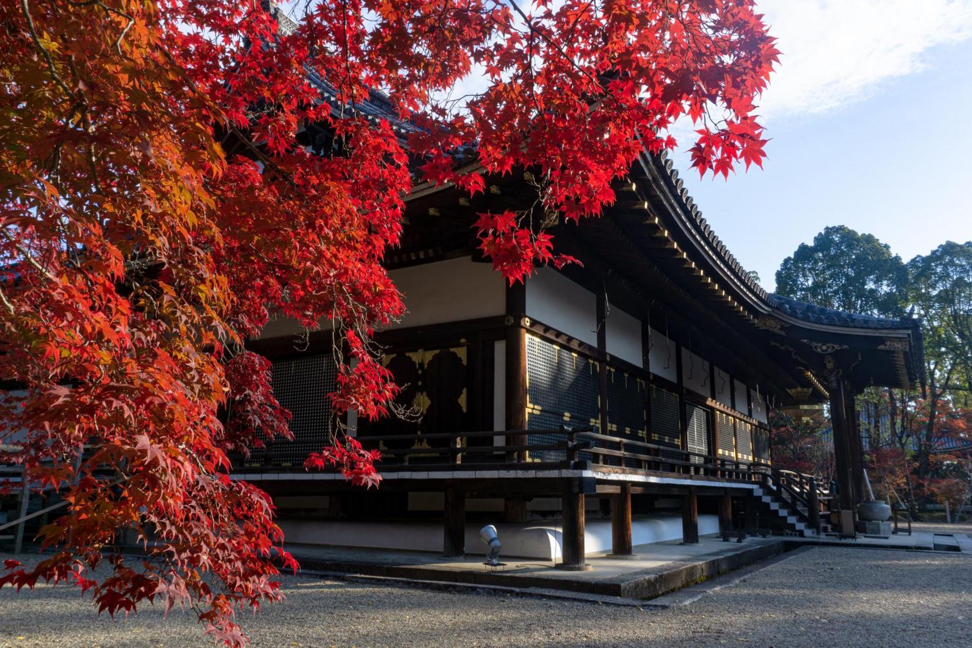 Tokyu Sakaiza Shijo Kawaramachi Hotel Kyoto