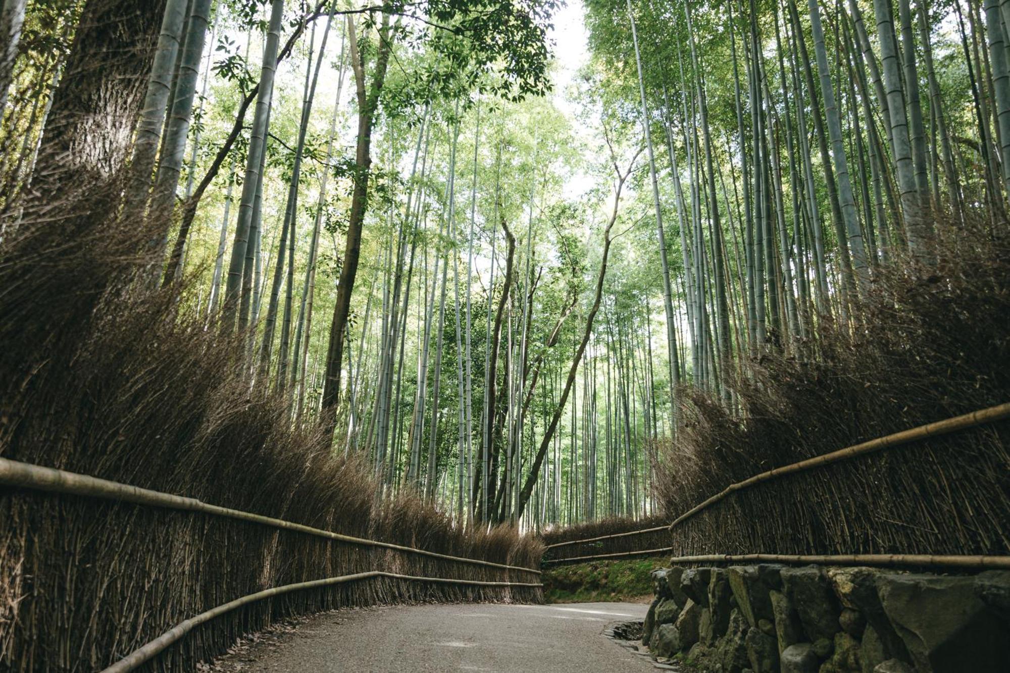 Tokyu Sakaiza Shijo Kawaramachi 4* Kyoto