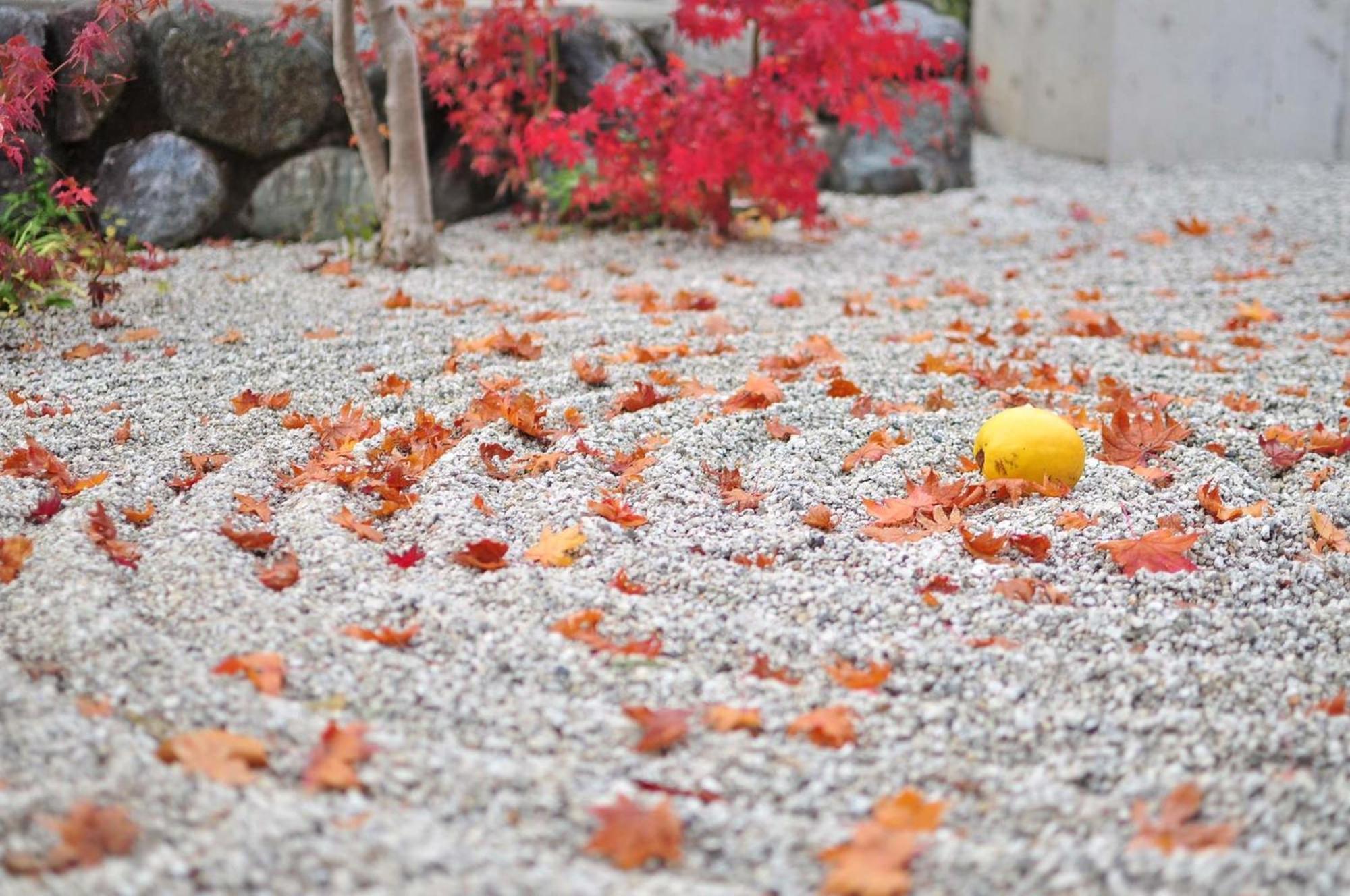Tokyu Sakaiza Shijo Kawaramachi 4*