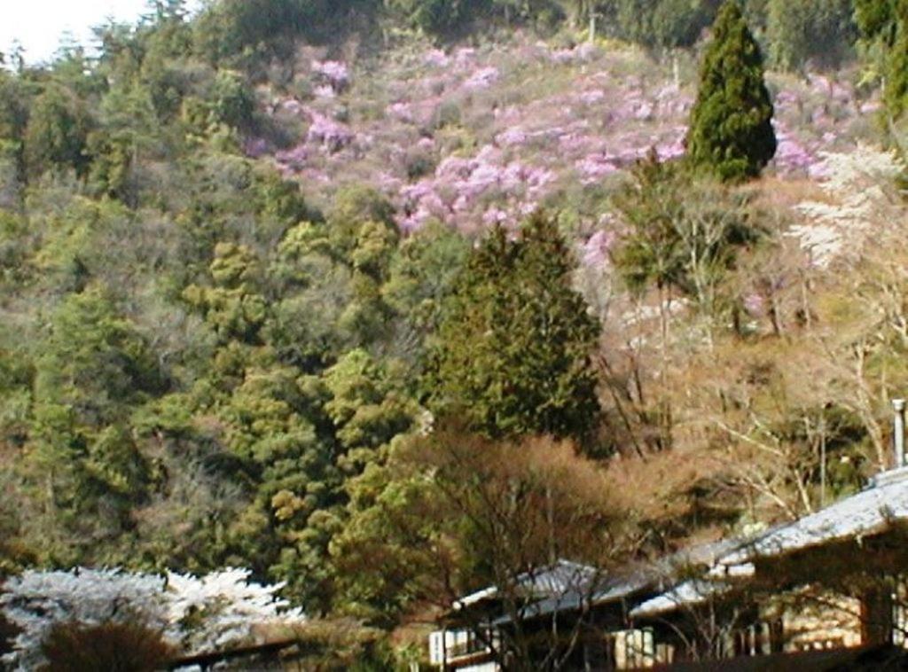 Ryokan Takao Kanko 3*