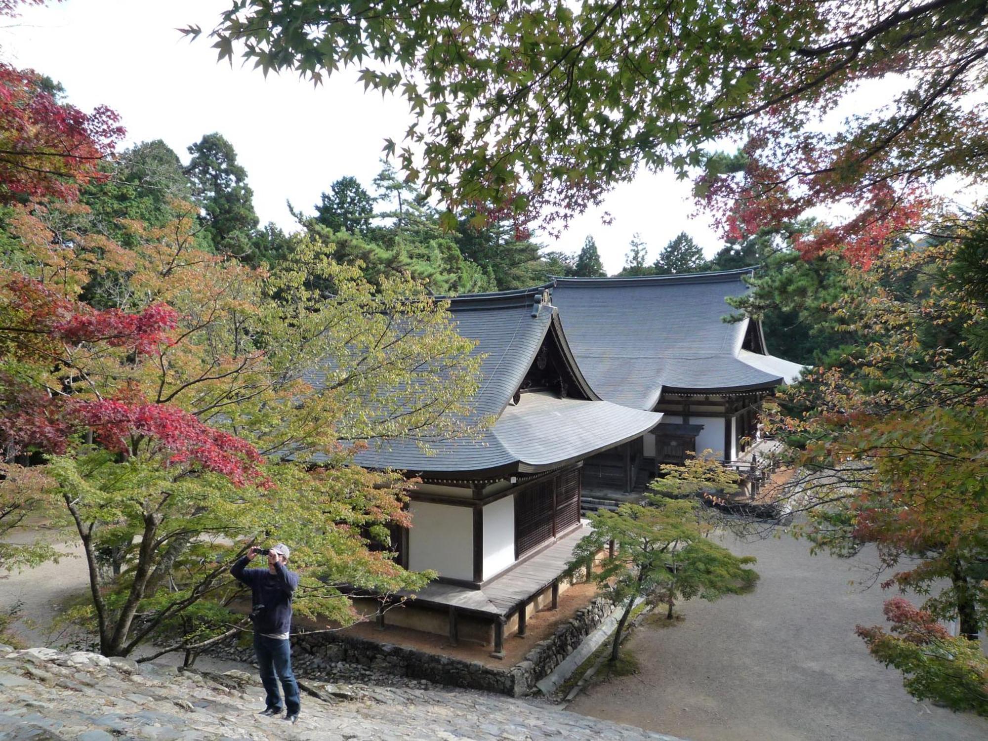 Takao Kanko