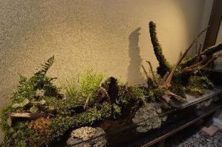 Gion Oyado Kikutani Ryokan 3*