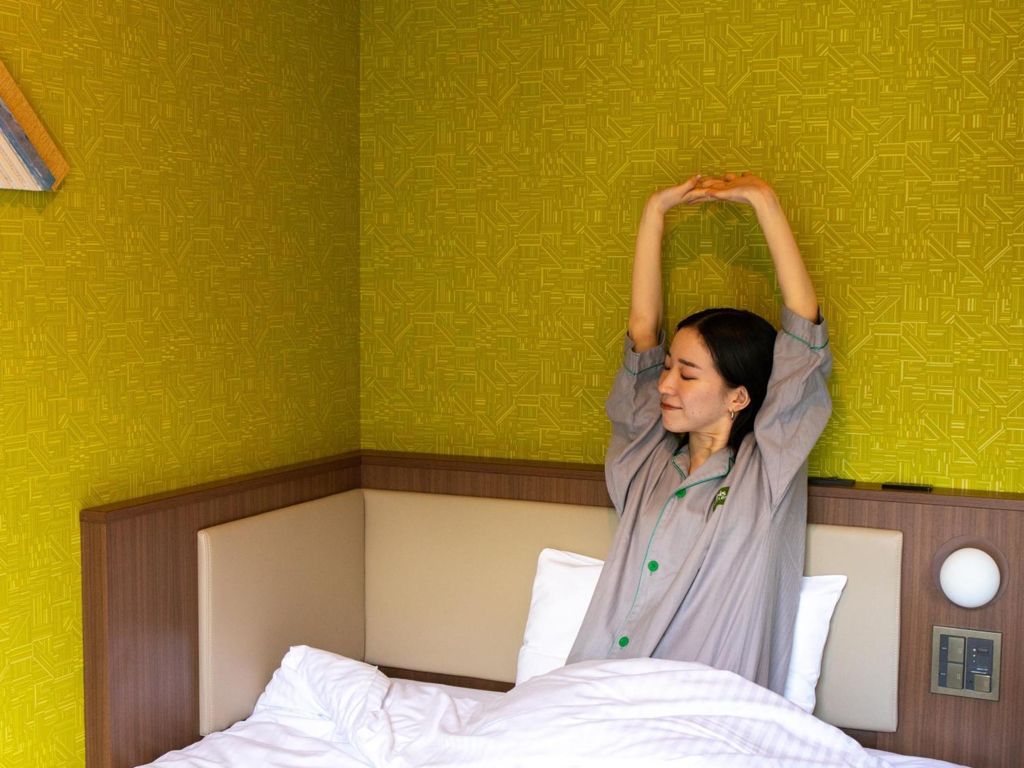Hotel Ibis Styles Shijo Kyoto