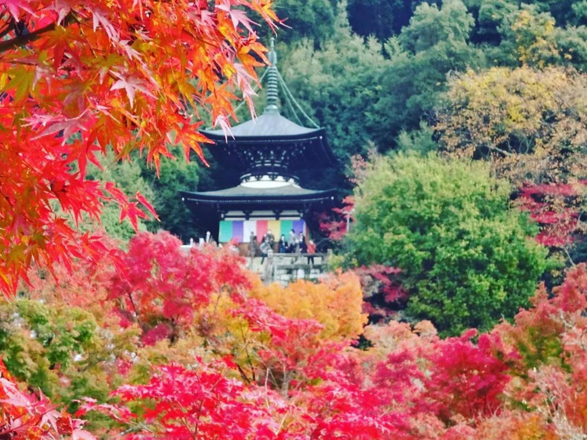Ryokan Yamamoto 3*