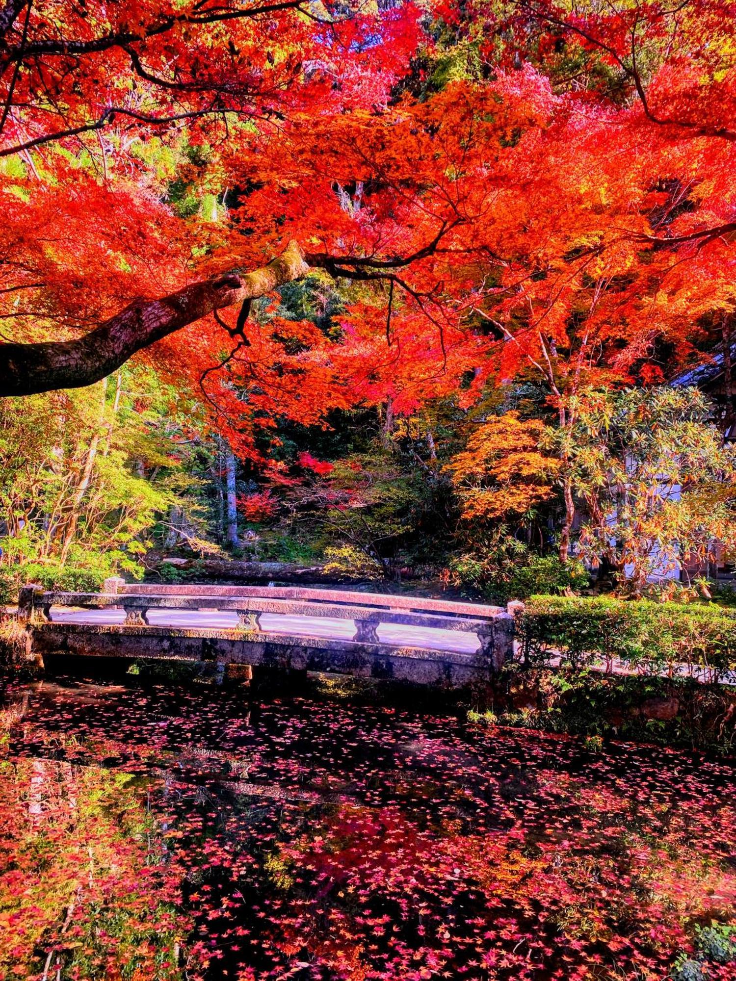 International Tani House Kyoto