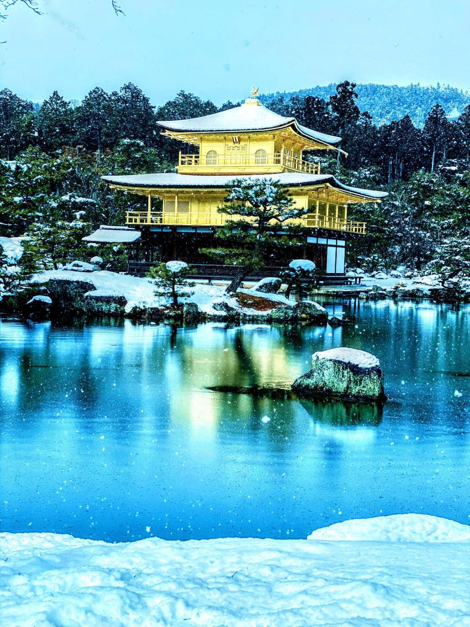 International Tani House *