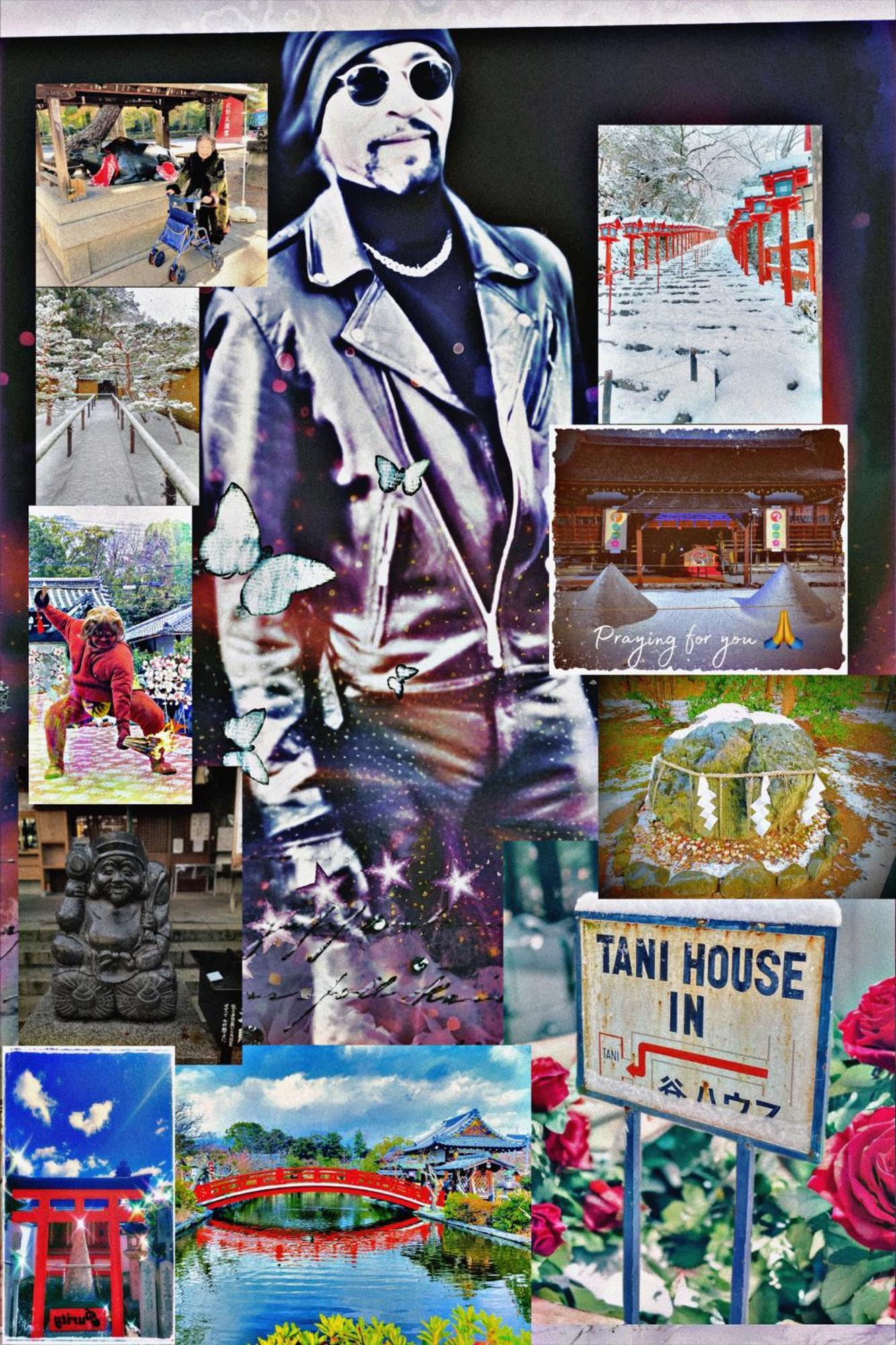 International Tani House