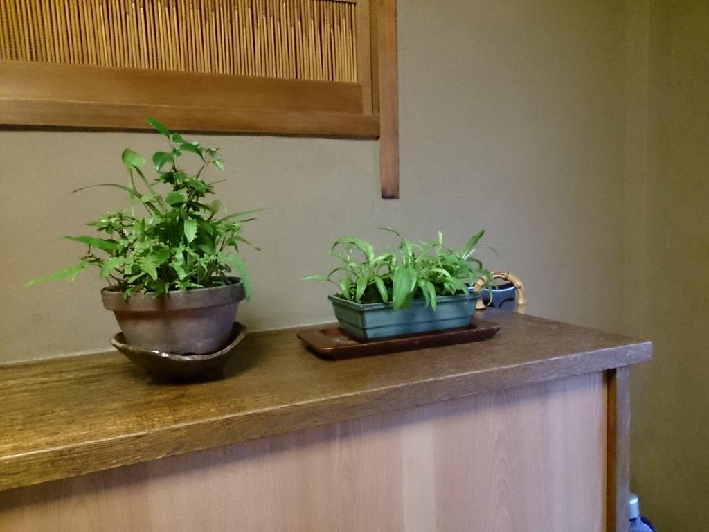 Nakajimaya Kyoto