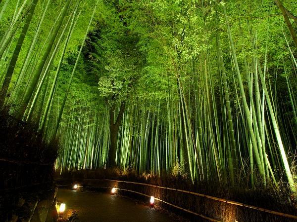 Hotel Excellence Enmachi Ekimae 3*