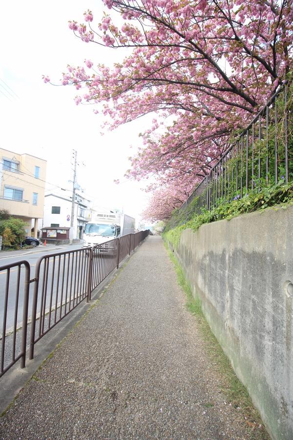 Kiyomori No Baika Guest house *