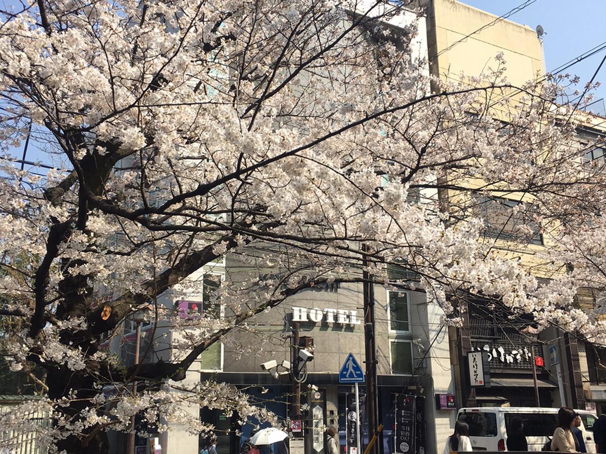Ponto 2* Kyoto