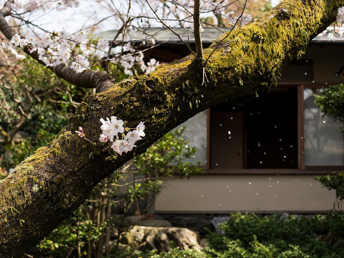 Ryokan Nanzenji Sando Kikusui