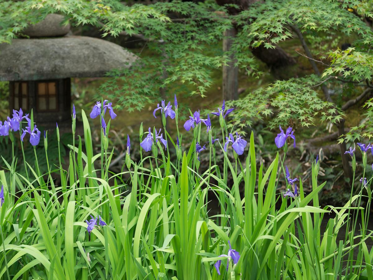 Nanzenji Sando Kikusui Ryokan