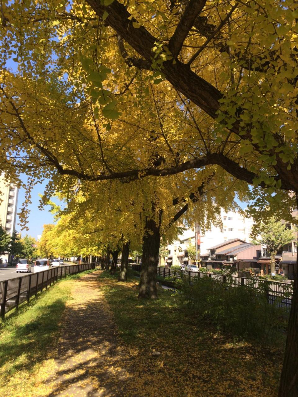 Ichijo Premium Kyoto