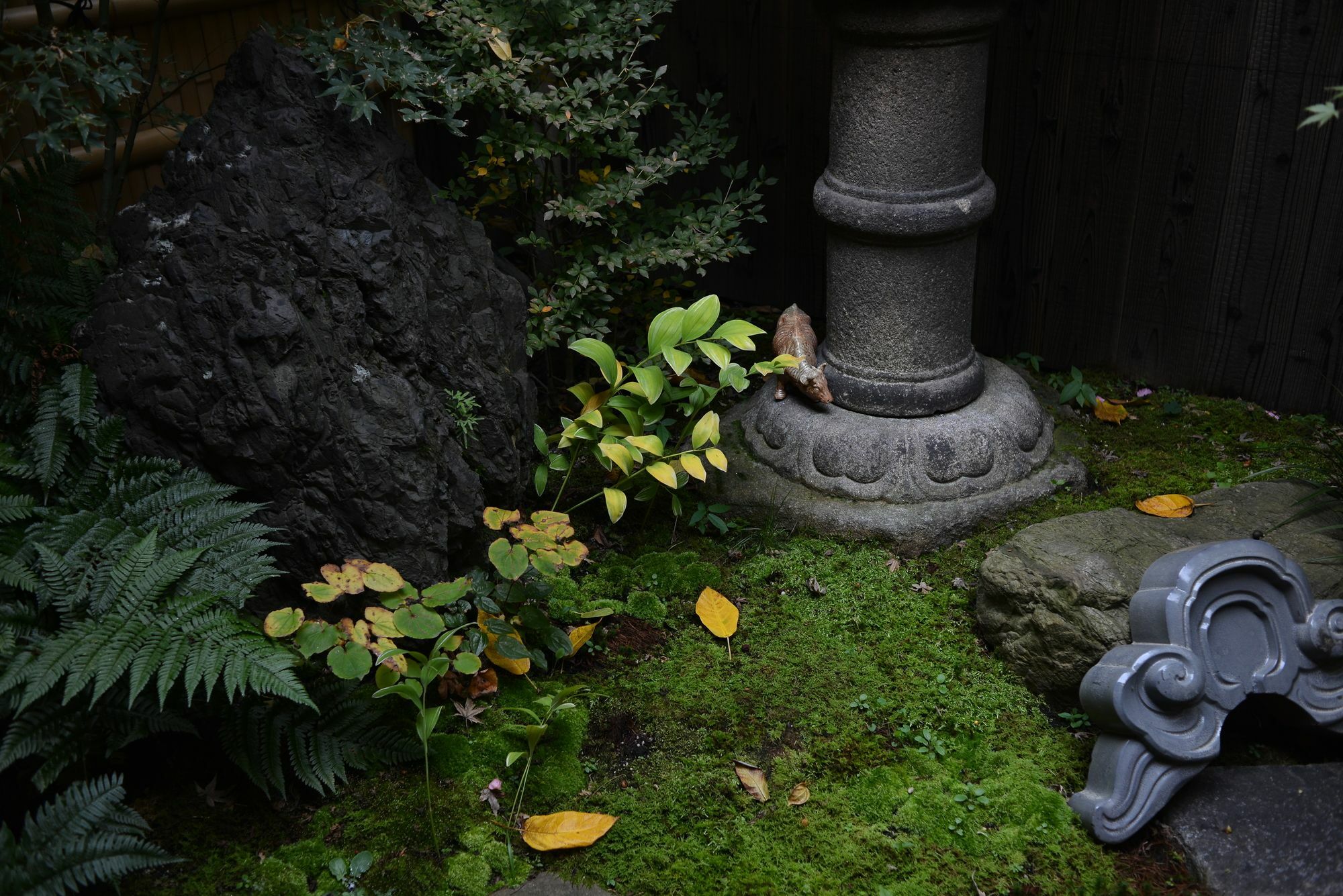 Bokuyado * Kyoto