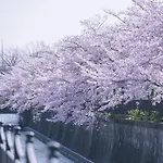 Kamo River J~House