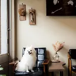 Suzuki Guesthouse