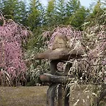 Japaning Senkyu