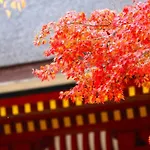 Stay Sakura Kyoto Gion Miyagawacho