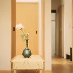 谷町君　星屋　木犀ノ宿　清水寺