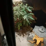 谷町君　星屋　木犀ノ宿　清水寺