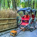 Mezame Kyoto