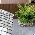 染 Sen 東寺-魚美津 Toji-Uomizu