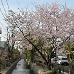 初音