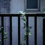 色絵古都 Iroekoto