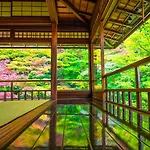 Hg Cozy Hotel No.11