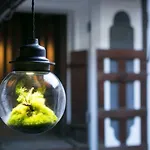Ryokan Mugen (Adults Only)