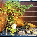 柏 一吾山房 Haku Ichigo-Sanbo