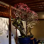 Cozy House K46, Free Wifi A Rented Electric Bicycle