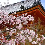 Kyomai Inn