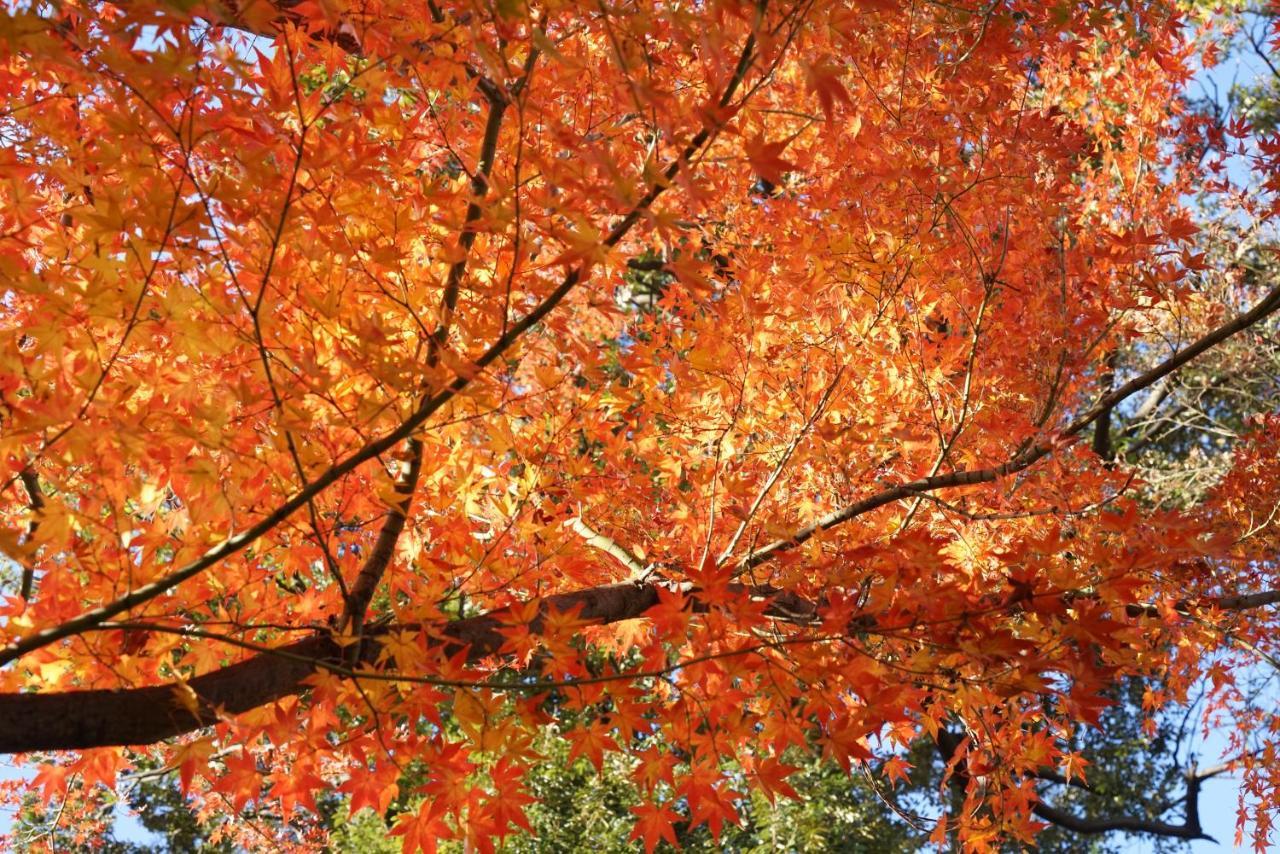 Japaning Senkyu Holiday home *