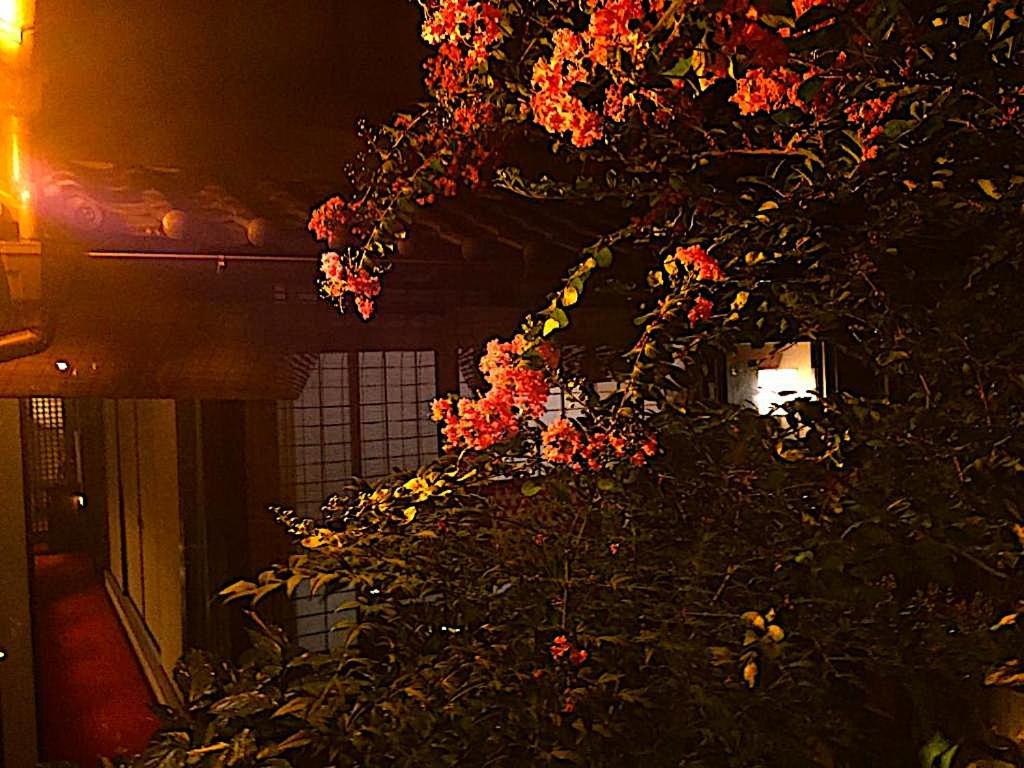 Gionkoh 2* Kyoto