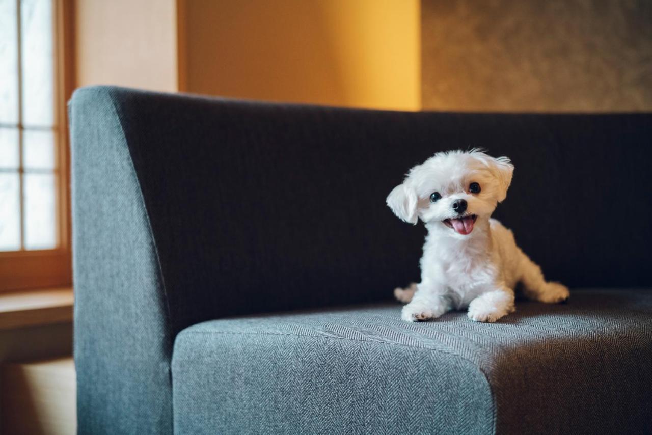 Asahi House Dog Friendly *