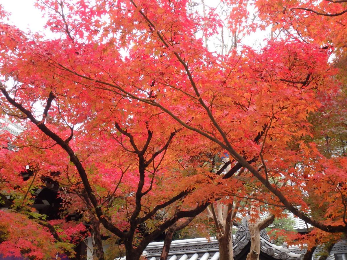 Kyo No Yado Nishioji * Kyoto