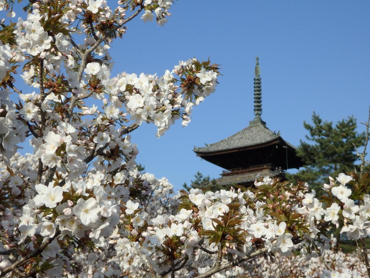 Aparthotel Sakura Tsubaki
