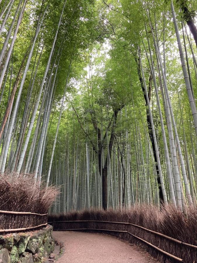 Tavinos 3* Kyoto