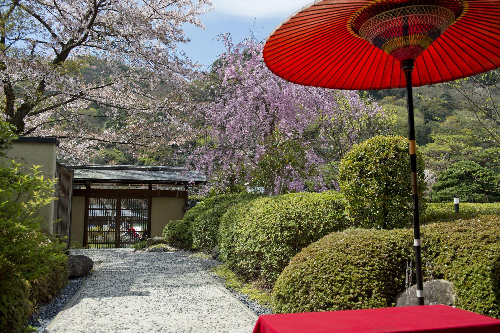 Ranzan Kyoto