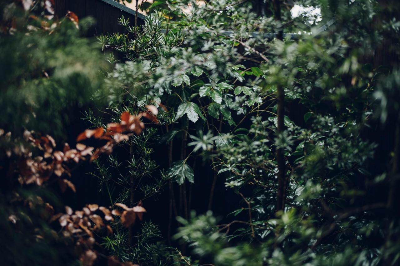Noboru House * Kyoto