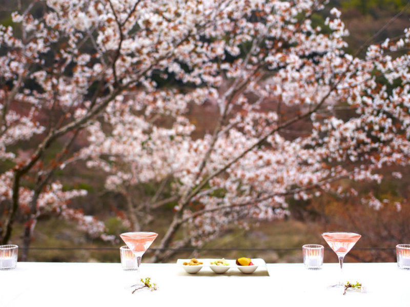 Hotel Hoshinoya Kyoto