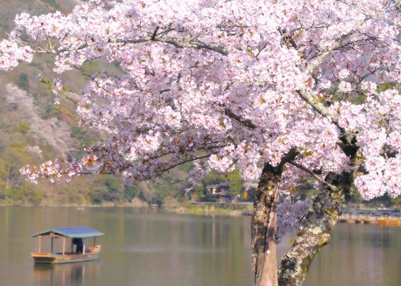 Hotel Hoshinoya