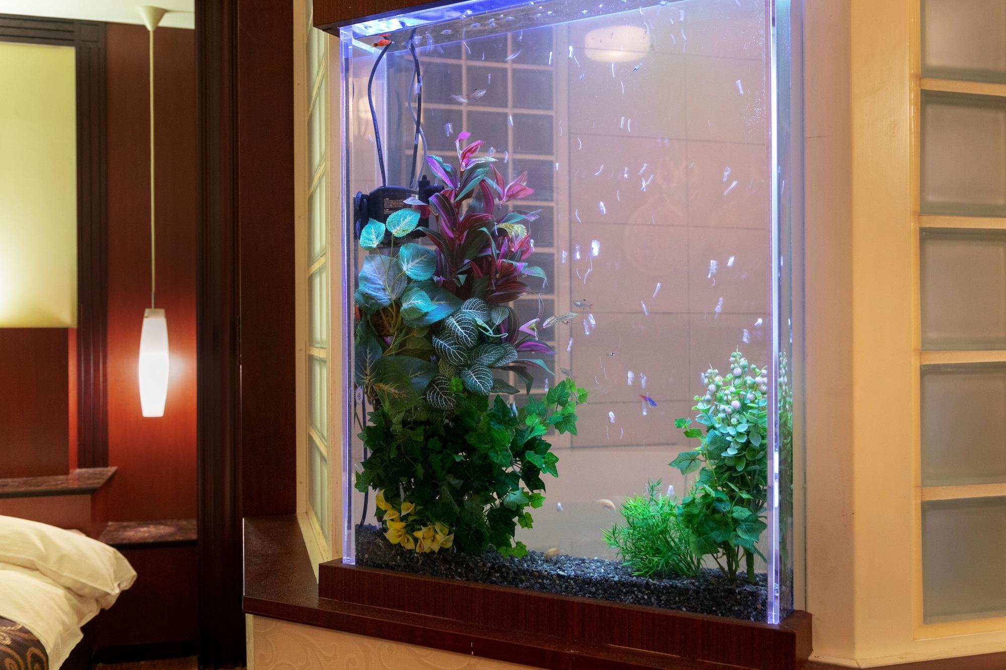 Hotel & Spa Lotus (Adults Only)